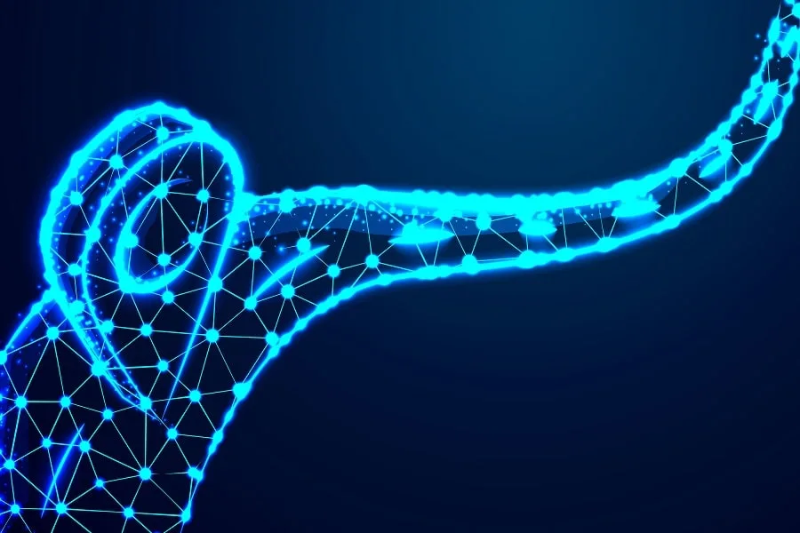 تدوین نقشه راه تحول دیجیتال